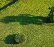 green grass field during daytime